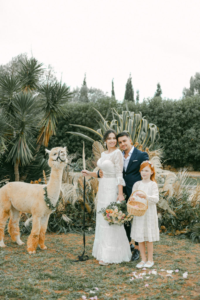 Wedding with alpacas - Perfect Venue