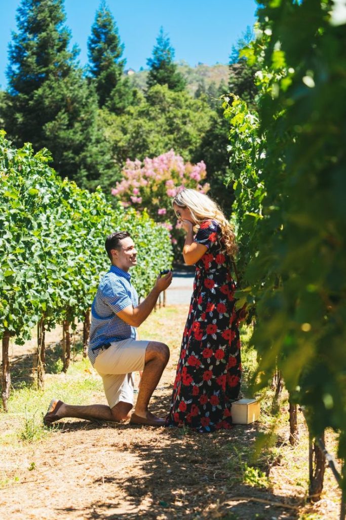 Marriage proposal in a winery - Perfect Venue