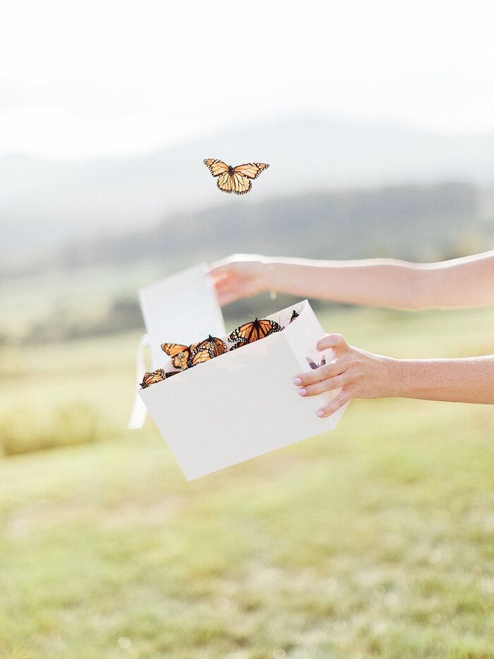 Butterfly release at your wedding or engagement - Perfect Venue