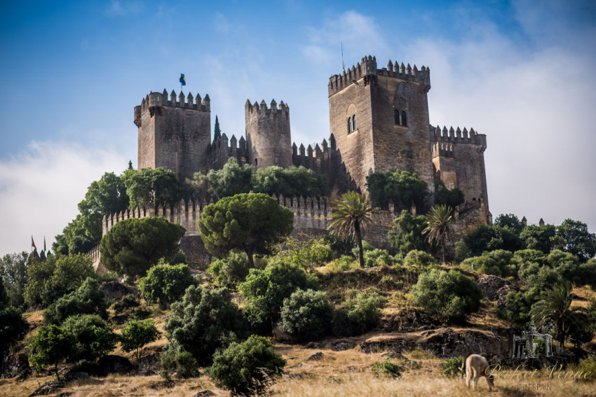 Castillo de Almodovar