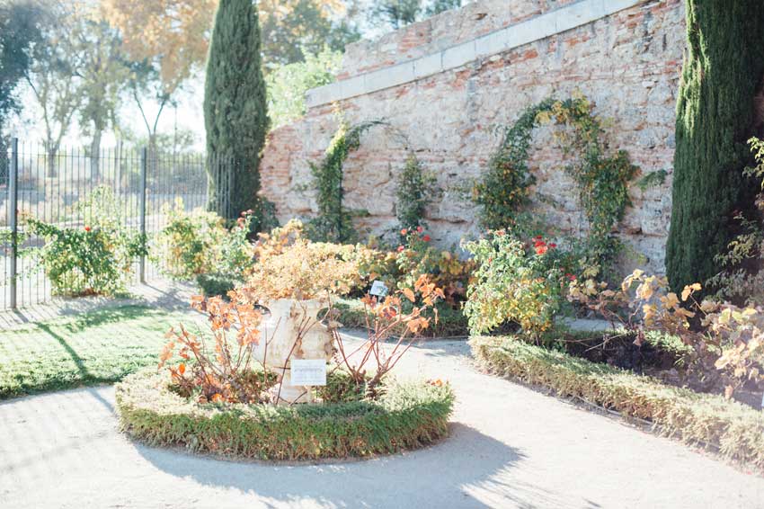 Wedding in Real Cortijo