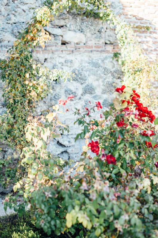 Wedding in Real Cortijo