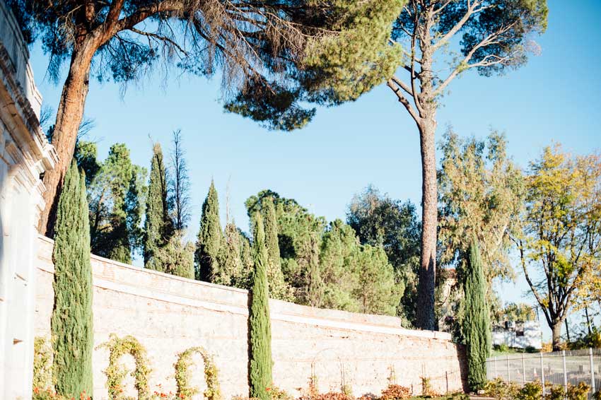 Wedding in Real Cortijo