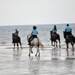 Horse riding route in Huelva