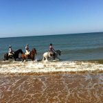 Horse riding route in Huelva