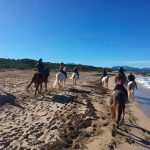 Horse riding route in Mallorca