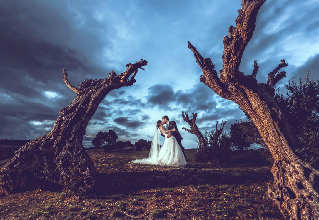 Cómo organizar la boda perfecta