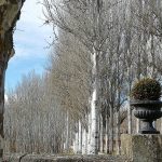 Finca Santa Eufemia - Perfect Venue