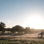 Finca aldellana - Perfect Venue