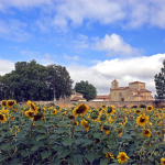 Finca Santa Eufemia - Perfect Venue