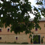Finca Santa Eufemia - Perfect Venue