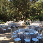 Más de santllei - Perfect Venue