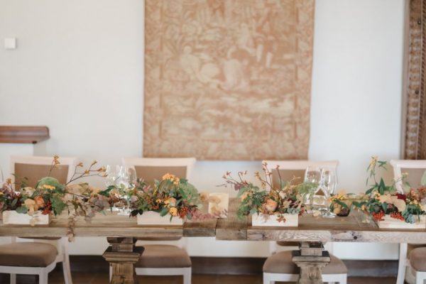Olivar Santa Teresa - Perfect Venue