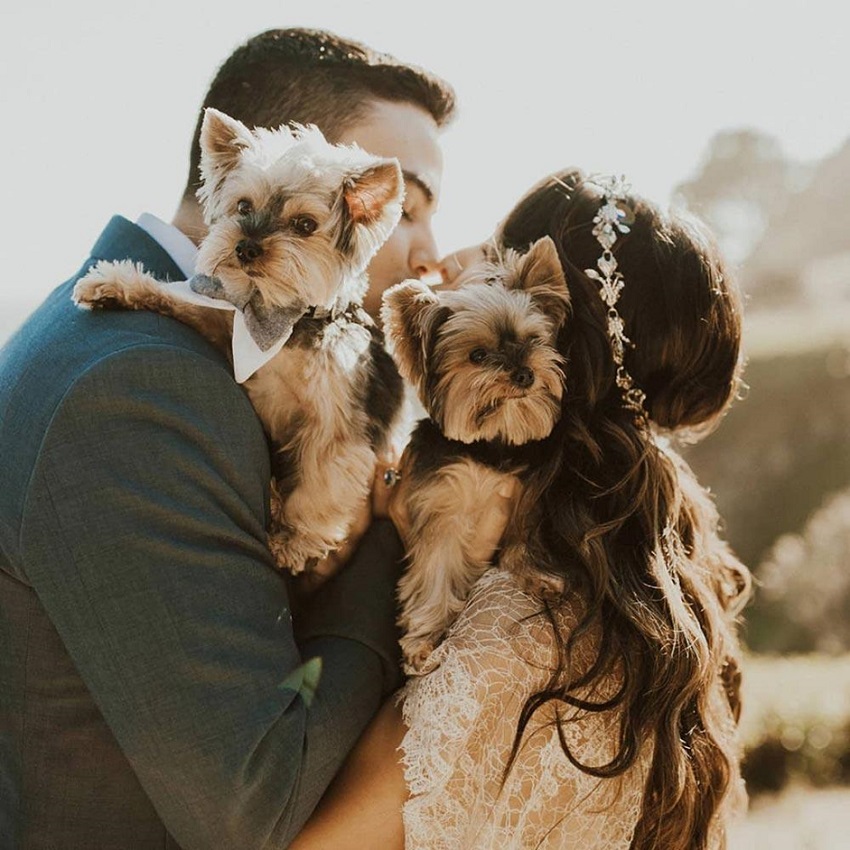 Pajes para tu boda