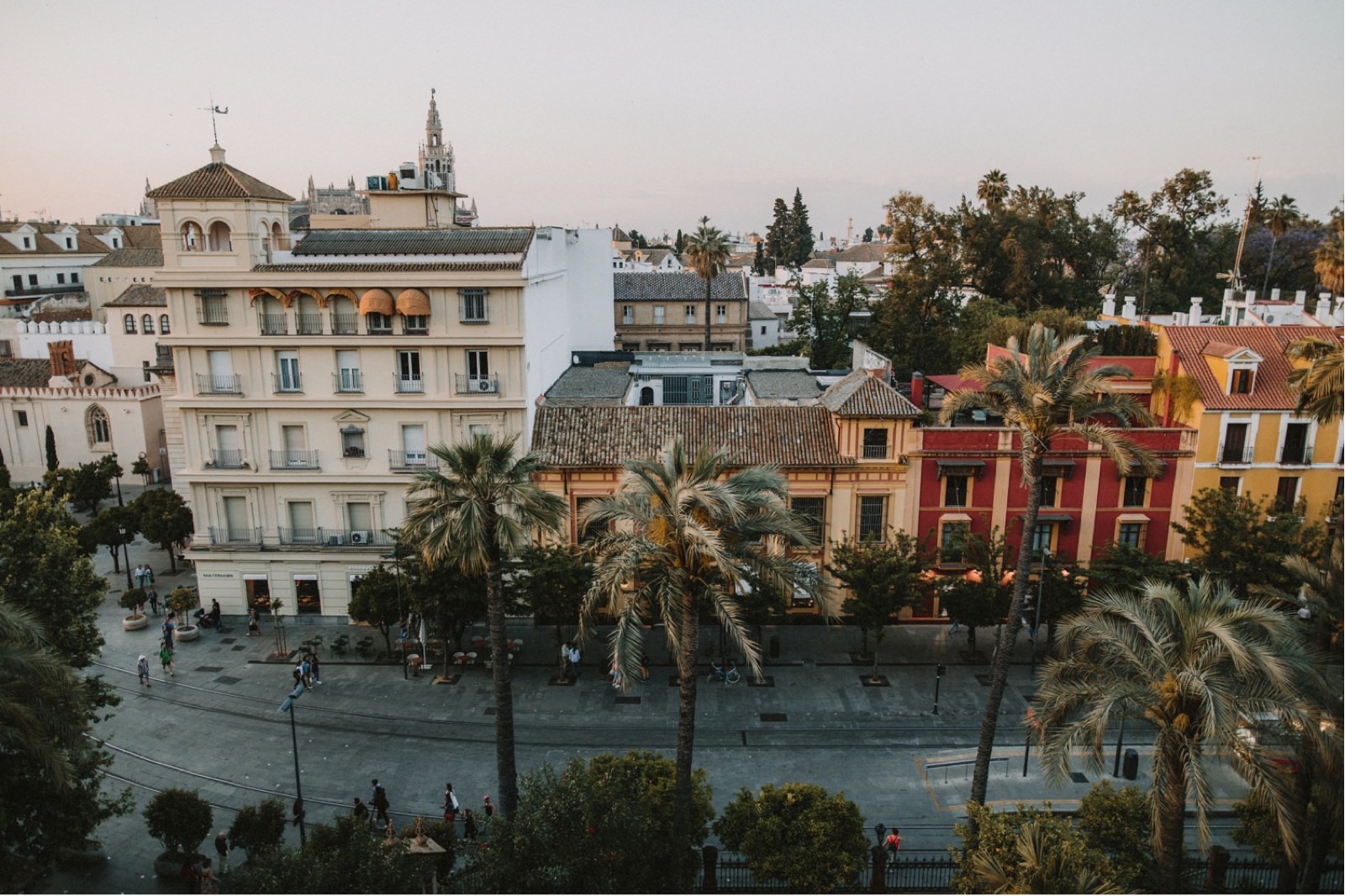 Sevilla marriage proposal