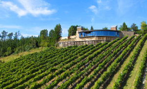 Bodega Berroja