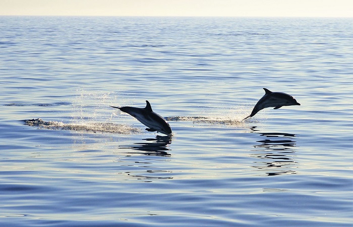 Los 12 mejores planes con niños en Costa del Sol