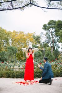 Madrid Marriage proposal