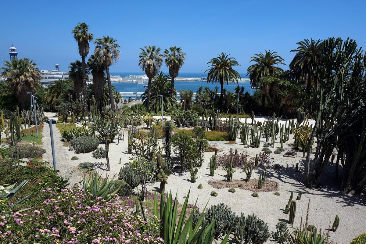 Mossèn Costa i Llobera Gardens / Photo via Meet Barcelona