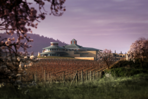 Wine tourism in La Rioja - Perfect Venue