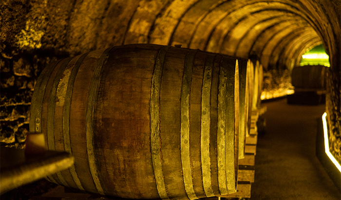 Wine tourism in La Rioja - Perfect Venue