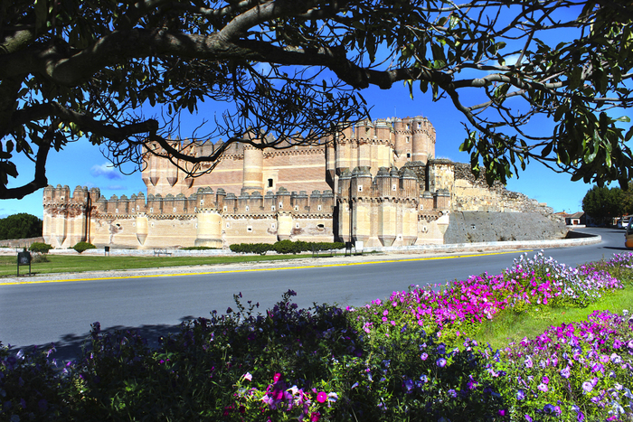 Castillo de Coca - Perfect Venue