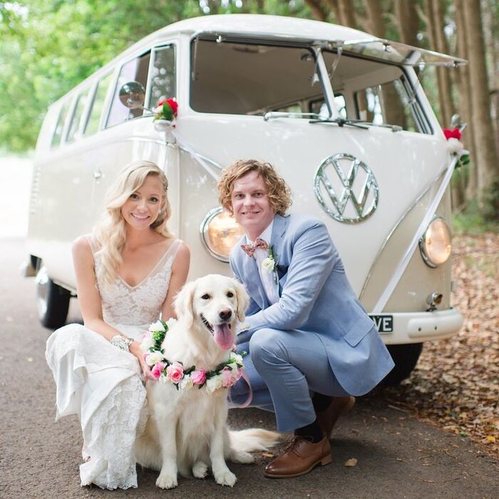 Boda pet friendly