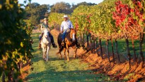 Enotourismo a caballo en la Rioja