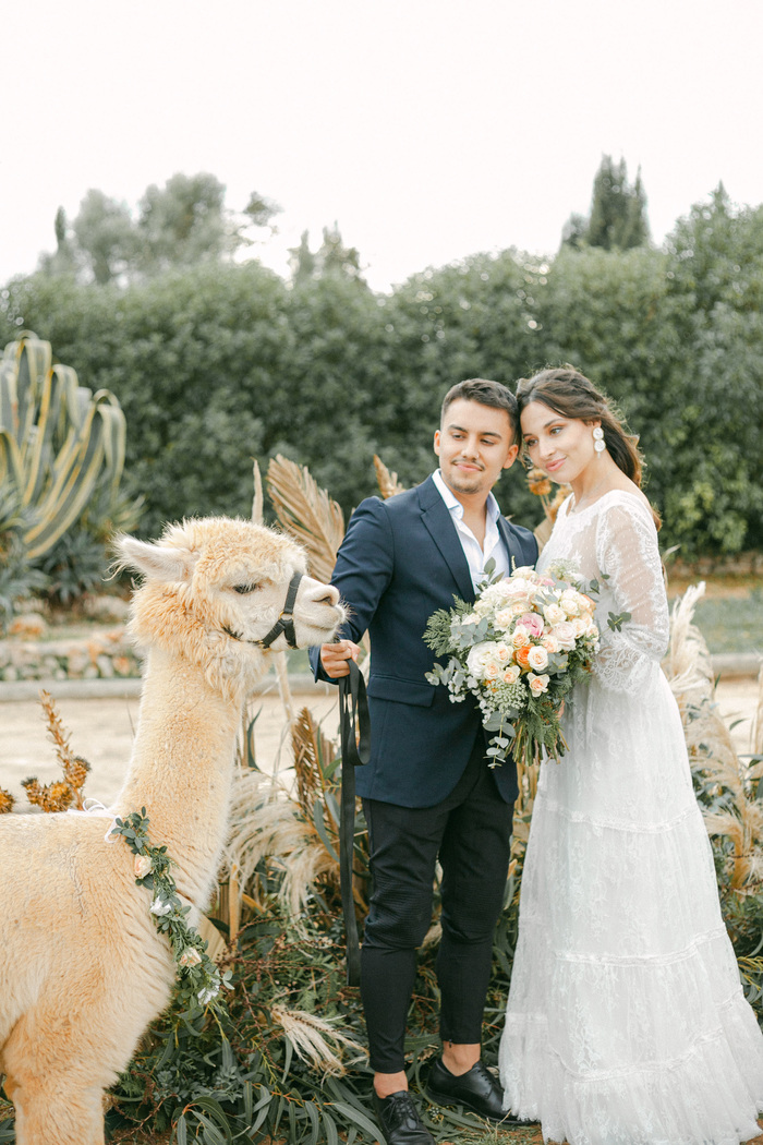 Wedding with alpacas - Perfect Venue