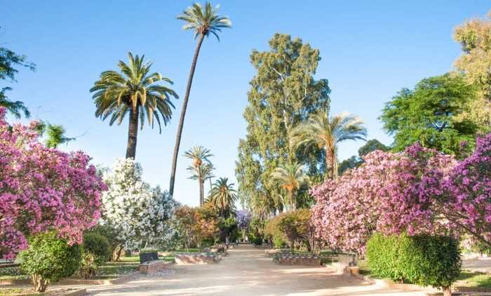 Marriage proposal Seville - Perfect Venue