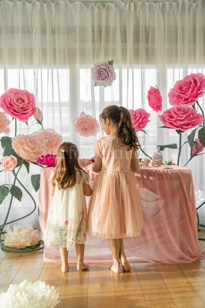 Princess-themed birthday party - Perfect Venue