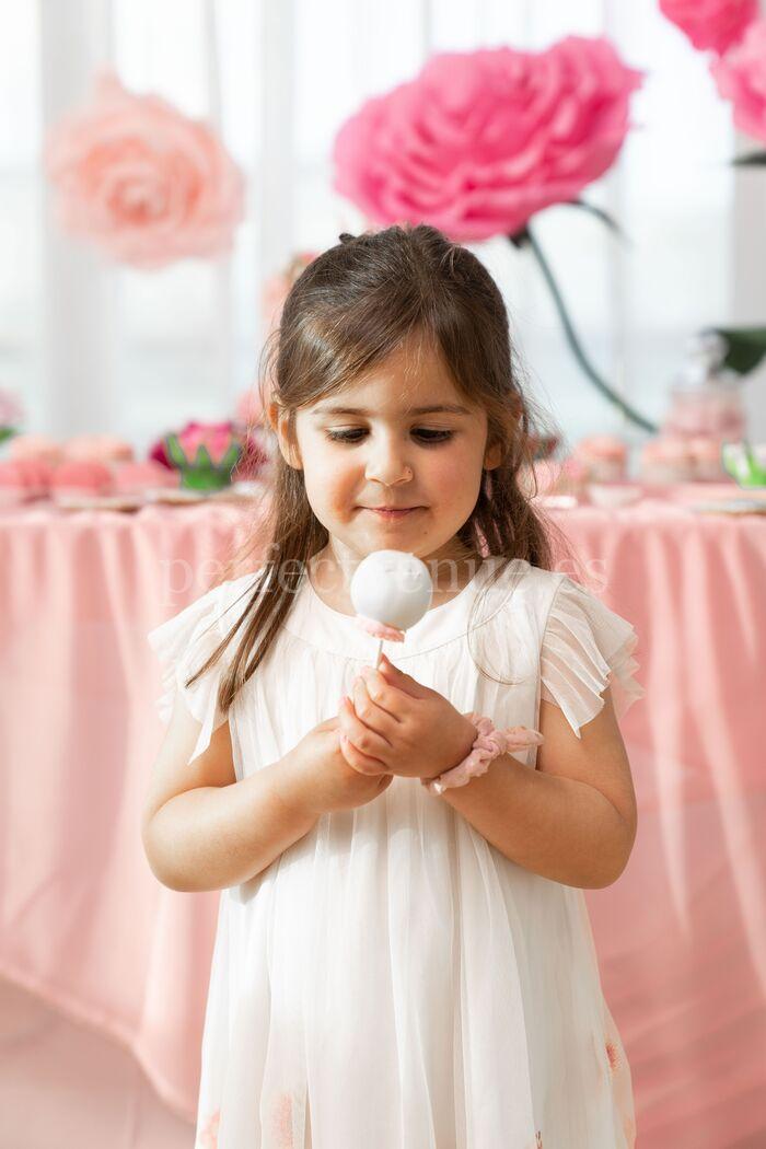 Princess-themed birthday party - Perfect Venue