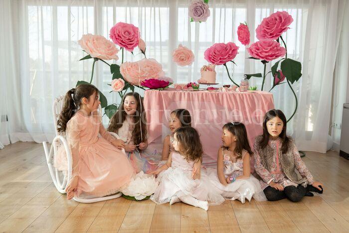 Princess-themed birthday party - Perfect Venue