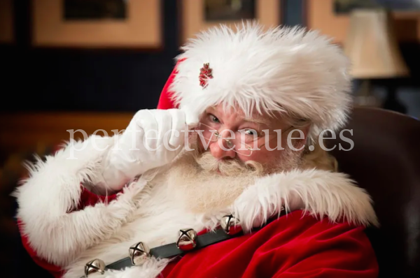 Book Santa True to visit your family this Christmas Madrid