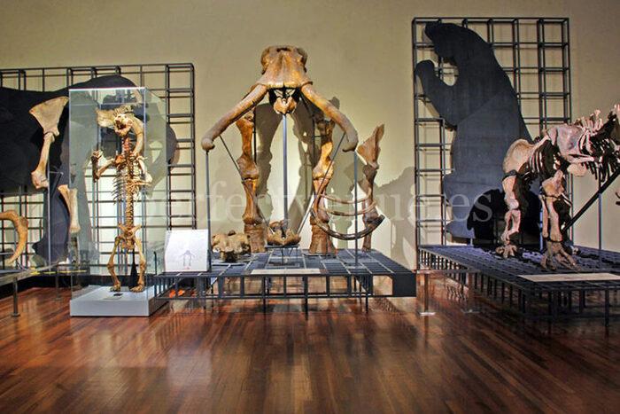 Museo Arqueológico Nacional madrid 2023