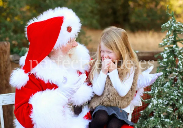 Book Santa visit your family this Christmas Madrid