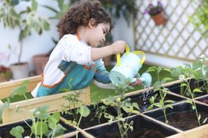 Taller de jardinería