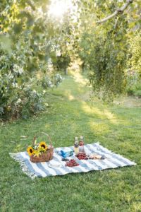 Picnic en el parque