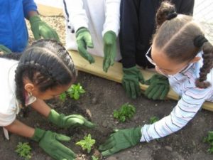 Taller de jardinería - Pinterest