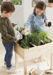 Taller de jardinería