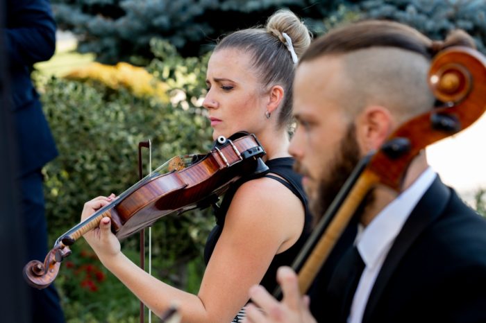 Electronic Firefly instrumentos eléctricos para bodas