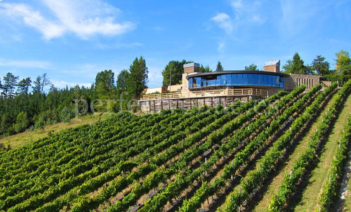 Bodeja Berroja / Perfect Venue