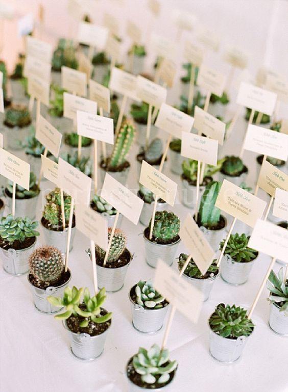 Dar el número de cuenta en una planta / Weddings and Events by Natalia Ortiz