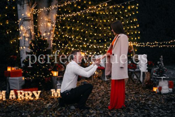 Christmas-marriage-proposal-Natalia-Ortiz-Events