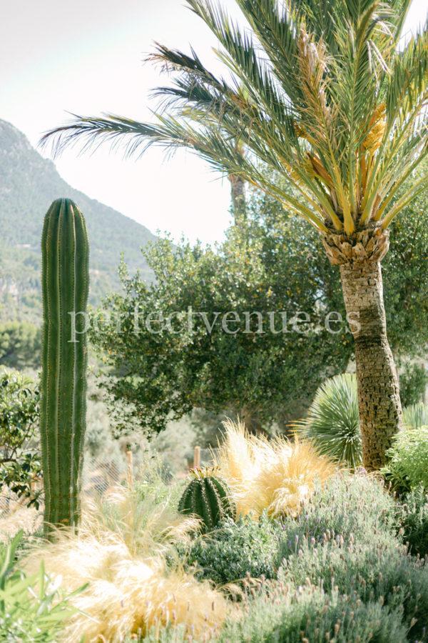 Elopement in Son Marroige Mallorca - Natalia Ortiz Events