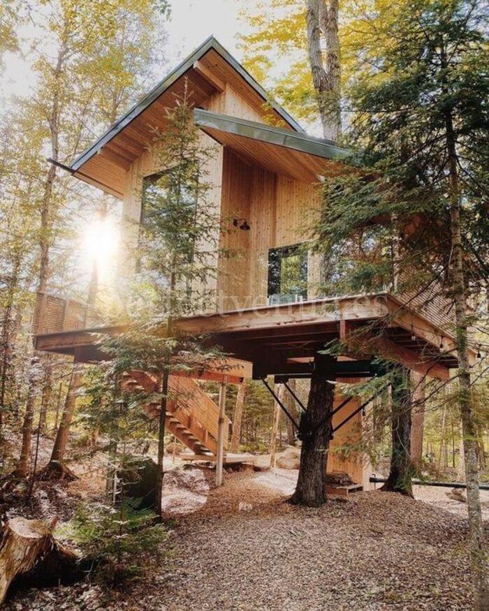 Treehouse / Pinterest