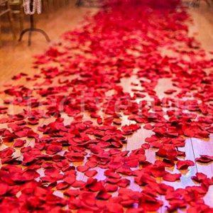 marriage proposal with balloons and petals in a hotel