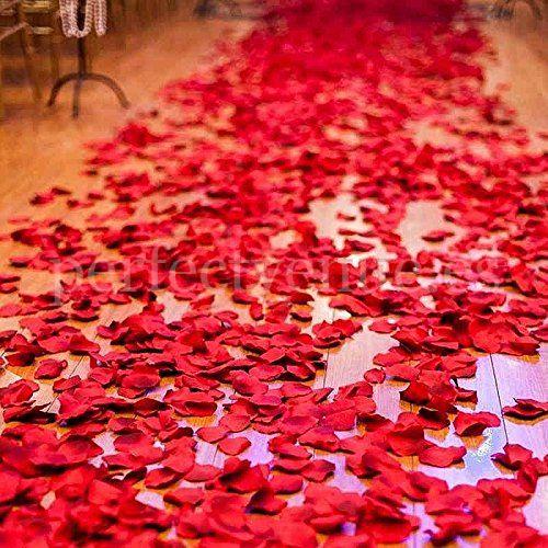 marriage proposal with balloons and petals in a hotel