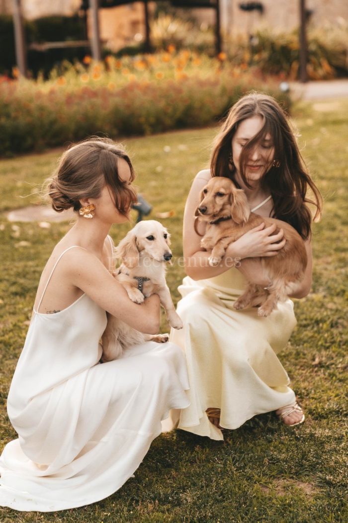 Espacios Pet Friendly / Phot via Wedding and Events by Natalia Ortiz