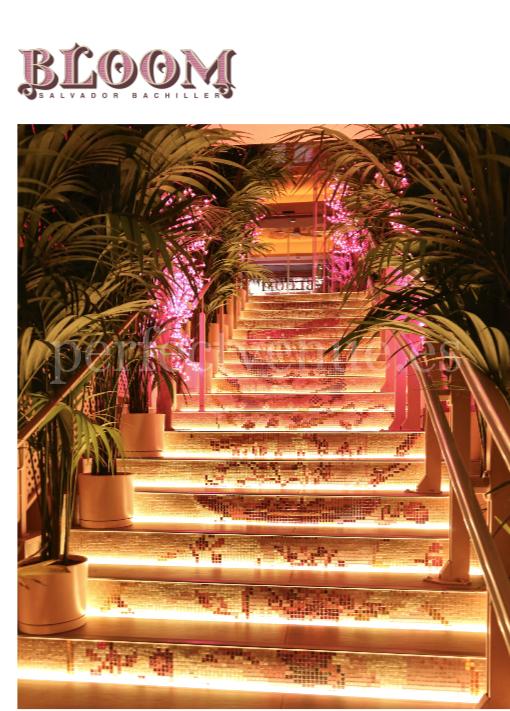Marriage proposal in Bloom Restaurant Natalia Ortiz